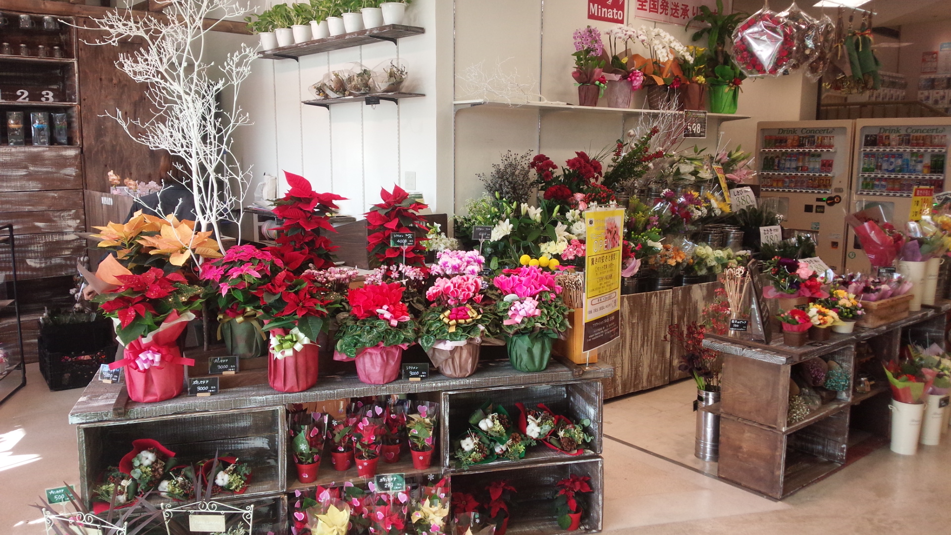 五日市店 - フラワーショップみなと
