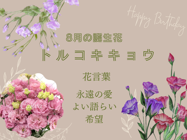 8月の誕生花『トルコキキョウ』花言葉やお手入れ方法のご紹介